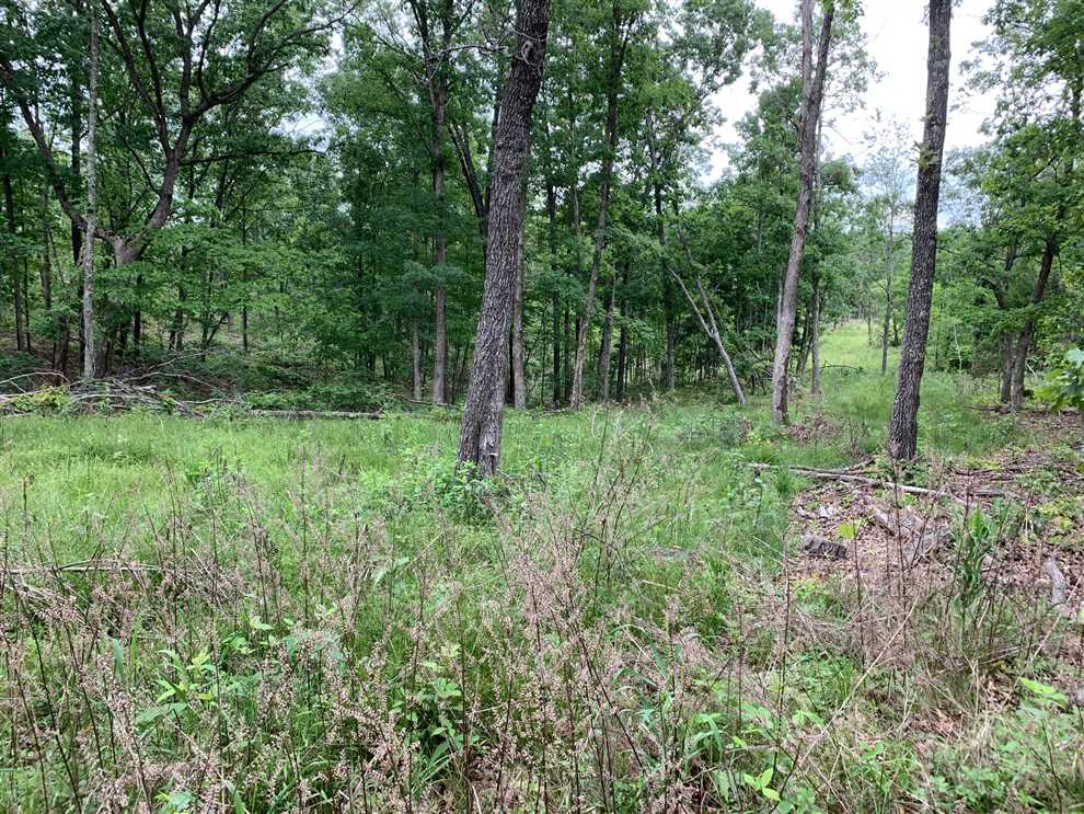 Land for sale to buy in 65441 zip code