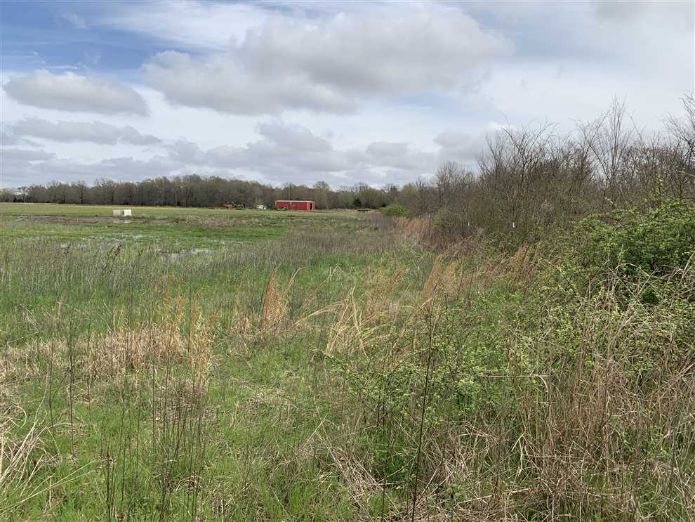 woodruff County, Arkansas property for sale
