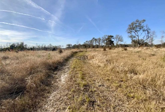 90 Acres of Land for Sale in madison County Florida