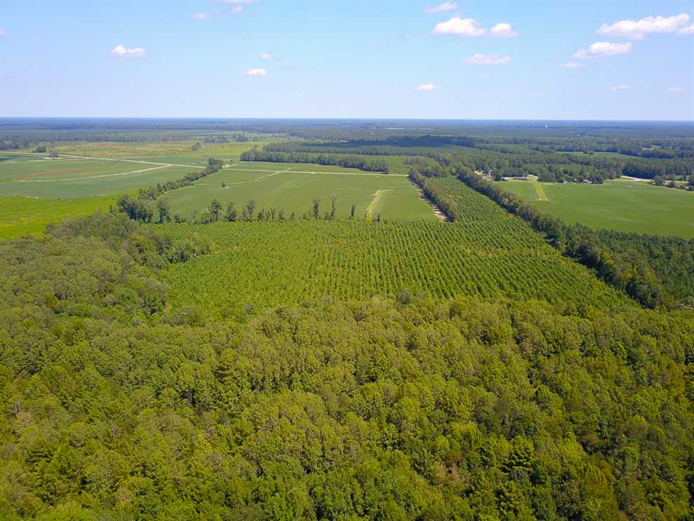 Houses and land for sale in North Carolina
