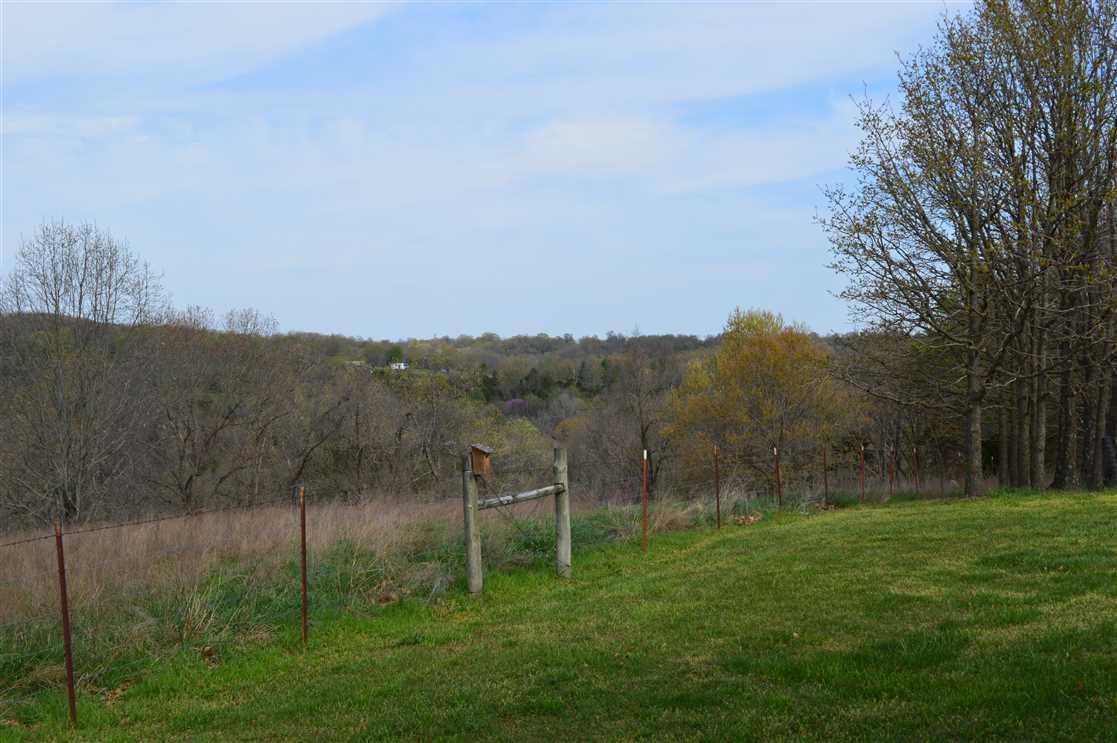 5101 Chestnut Lane Real estate listing