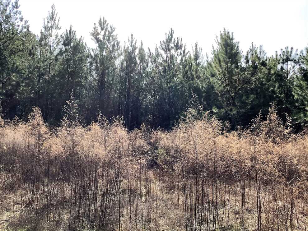 Property for sale at
