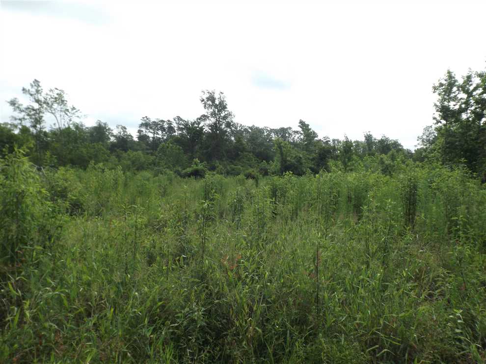 Houses and land for sale in Arkansas