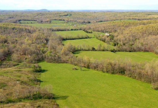 115 Acres of Land for Sale in fulton County Arkansas