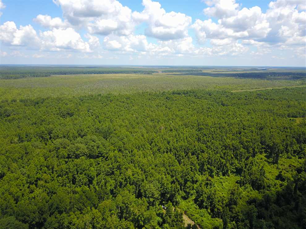 Houses and land for sale in North Carolina