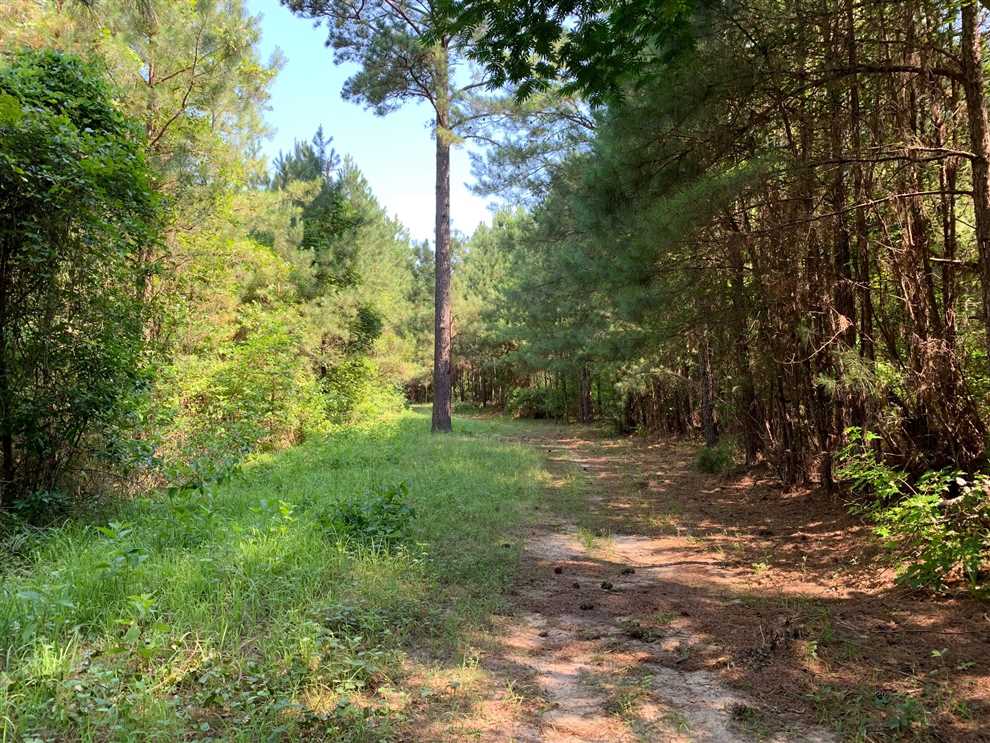 Land for sale to buy in 71234 zip code
