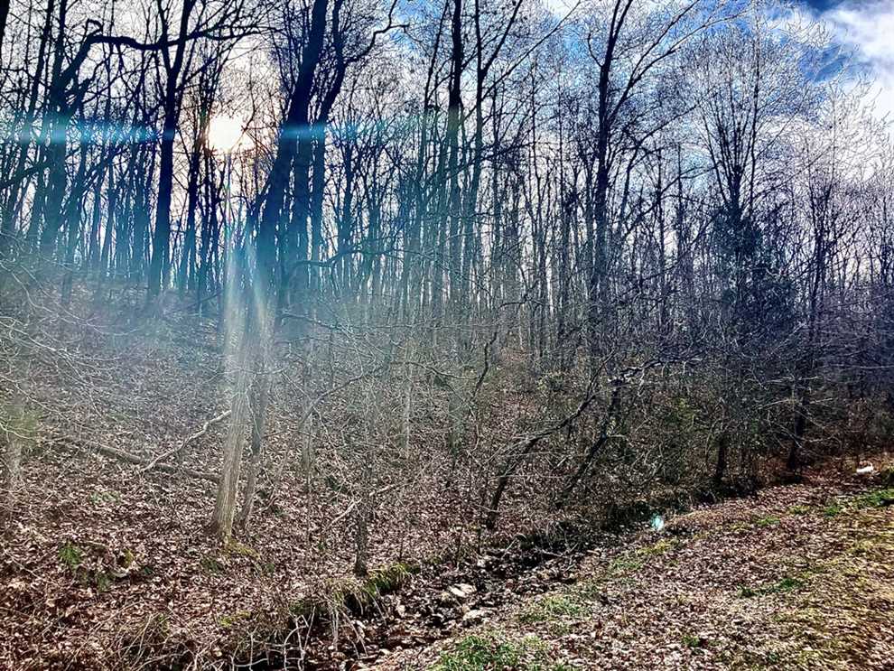 Log Home on 118 Acres For Sale in Reynolds County, Ellington, Missouri Real estate listing
