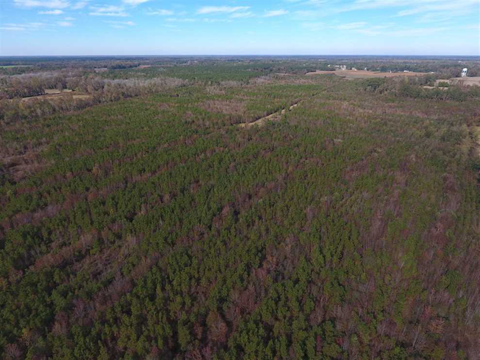 Houses and land for sale in North Carolina