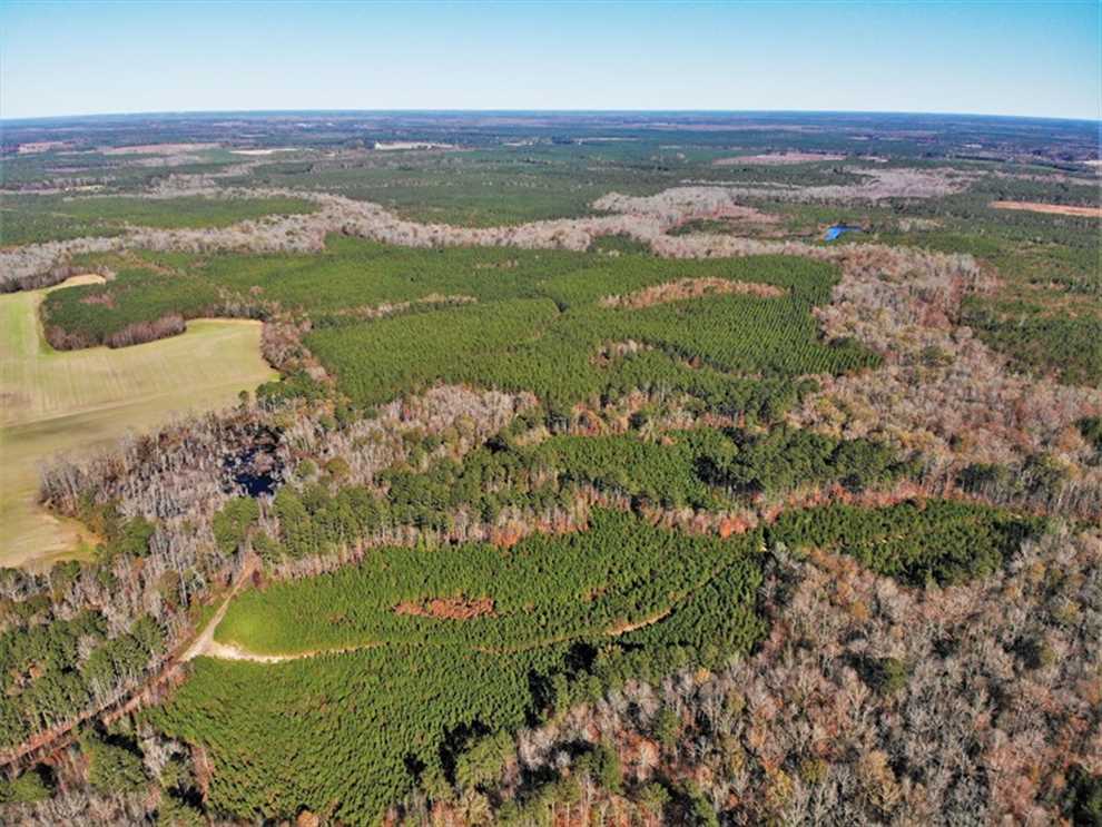 302 Acres of Residential land for sale in Yale, sussex County, Virginia