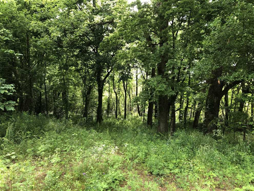 Land for sale at