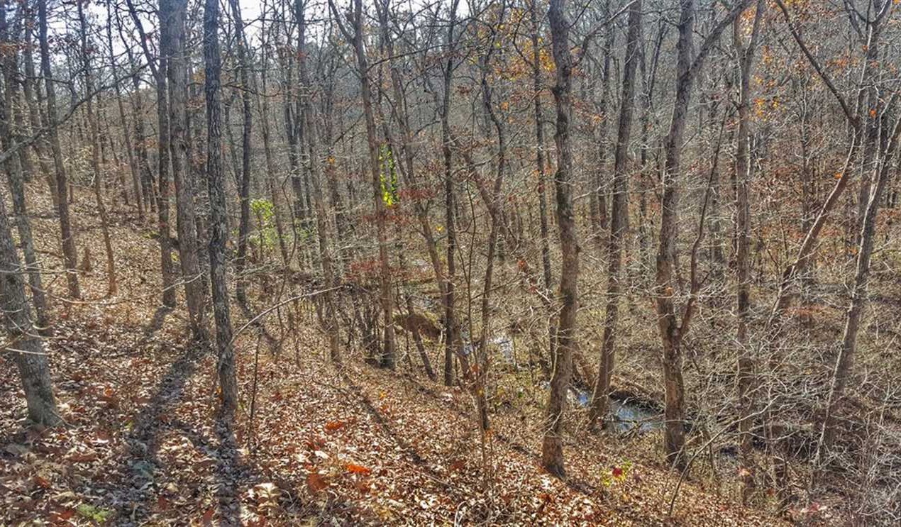 butler County, Missouri property for sale