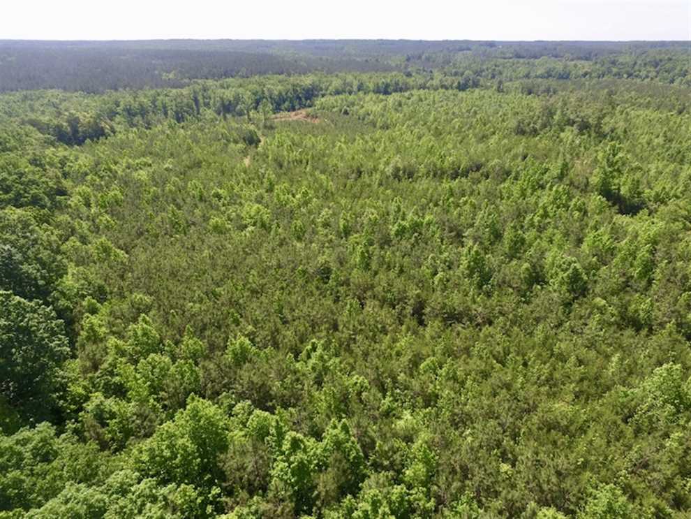 Land for sale at Doswell Town Road
