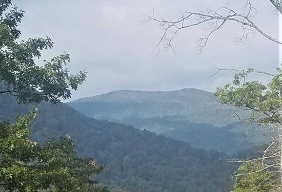 225.26 Acres of Land for Sale in swain County North Carolina
