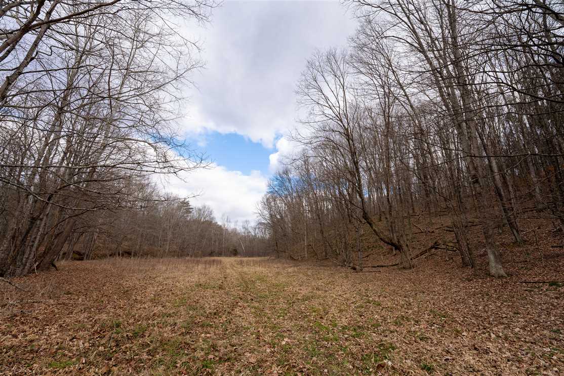 Harble Griffith Rd - 160 acres - Hocking County Real estate listing