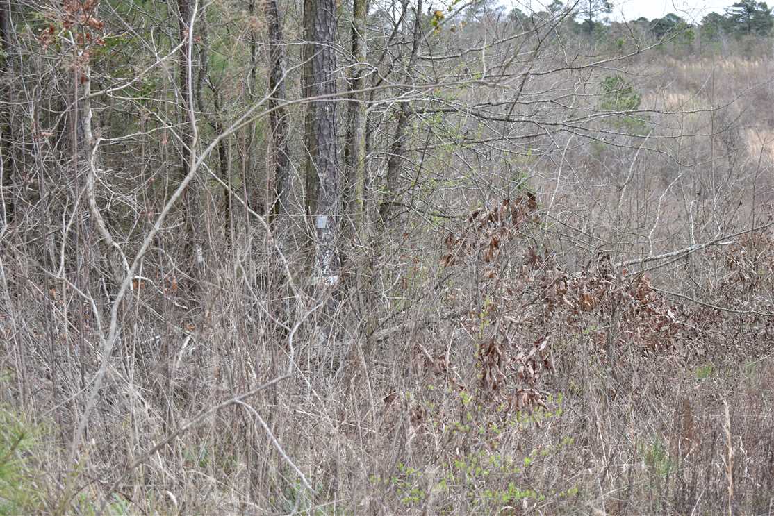 Recreational and   property for sale on The Land Market