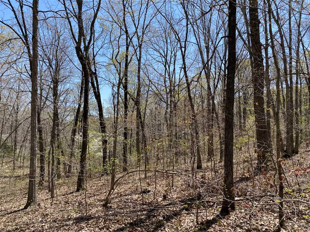 morgan County, Missouri property for sale
