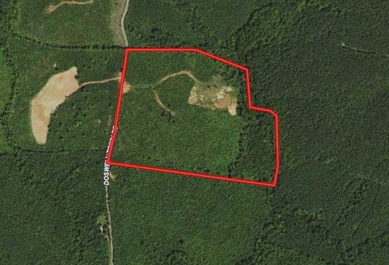 55.68 Acres of Land for Sale in lunenburg County Virginia