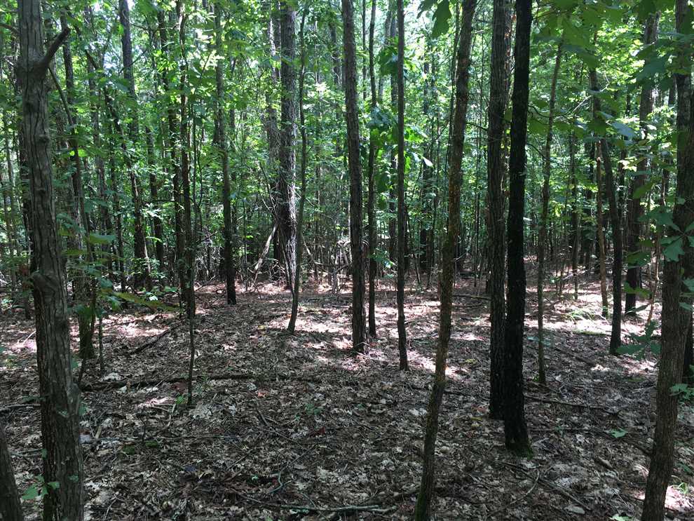 Property for sale at Macedonia Rd