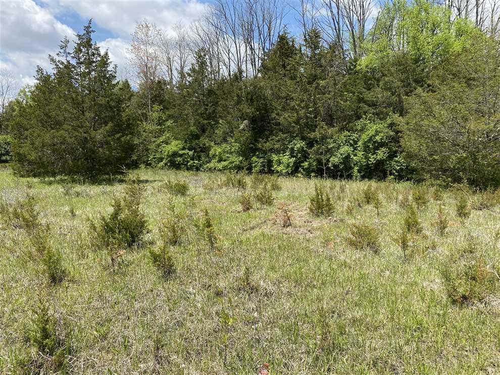 11.82 Acres of Land for sale in union County, Indiana
