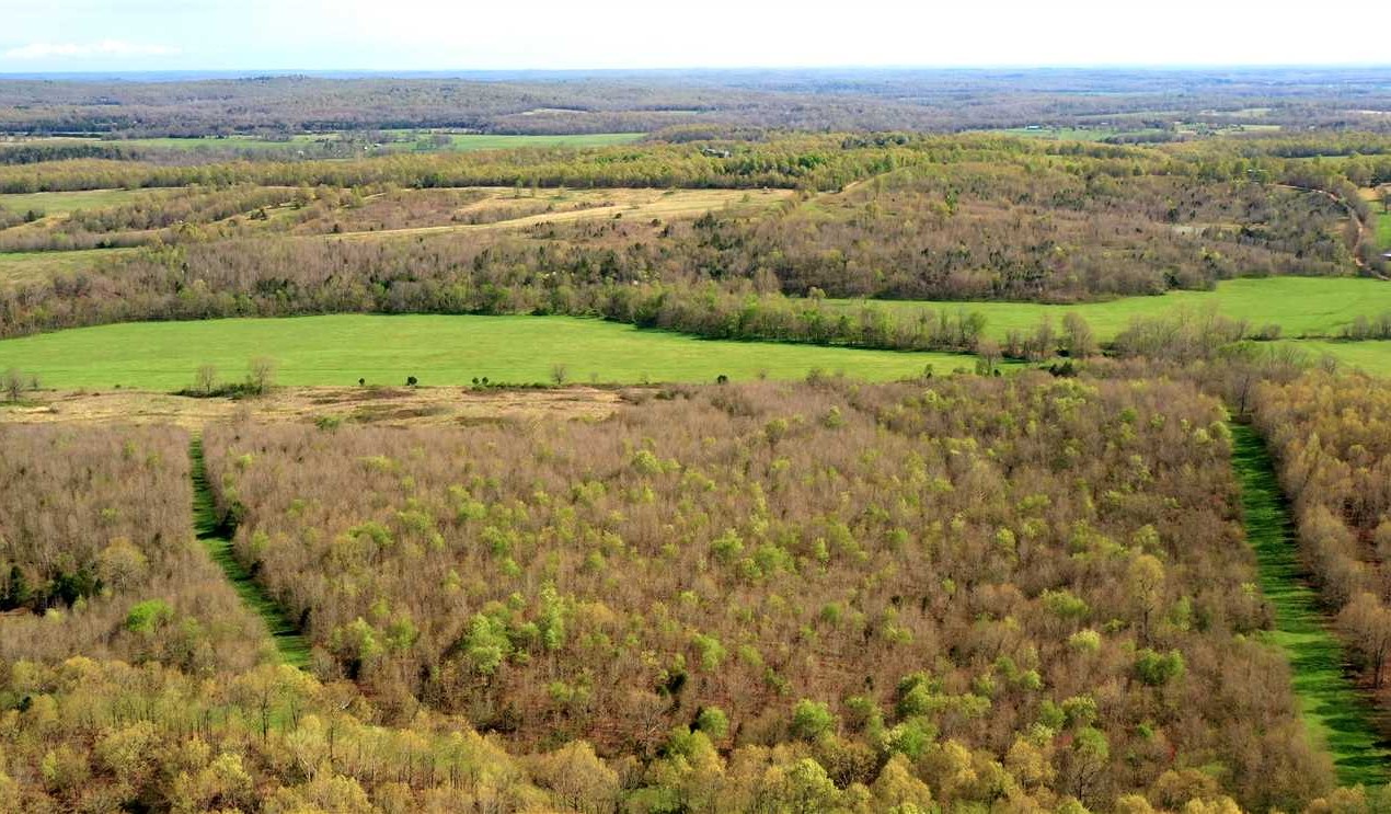 Salem land available for purchase