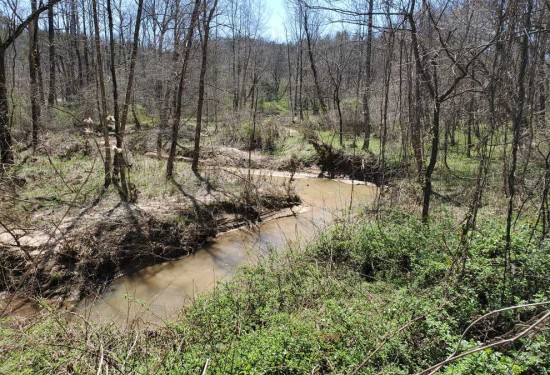 28.7 Acres of Land for Sale in wilkes County North Carolina