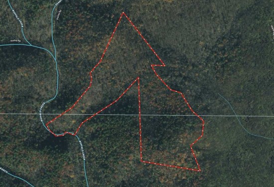 40.87 Acres of Land for Sale in watauga County North Carolina