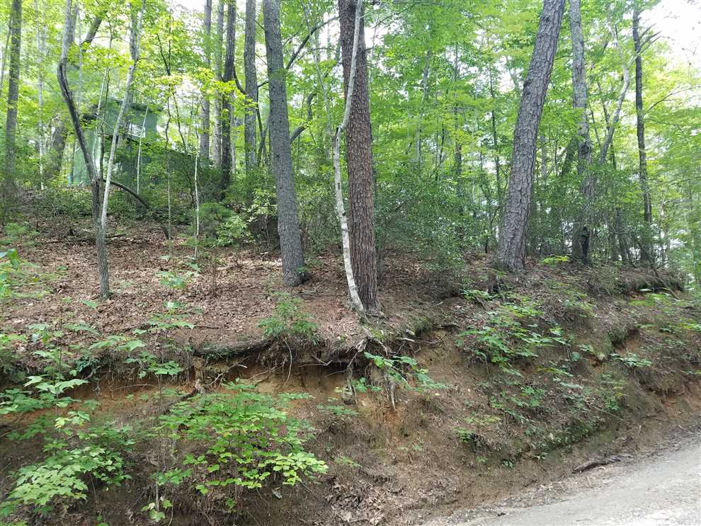 Houses and land for sale in North Carolina