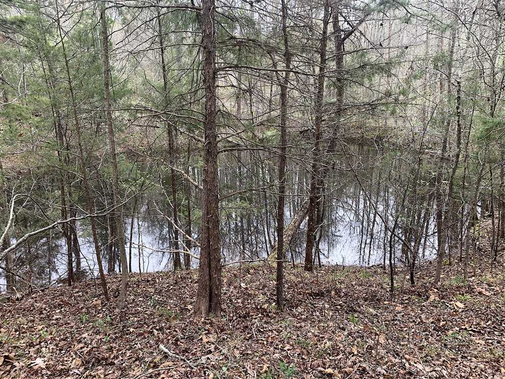 Land for sale at