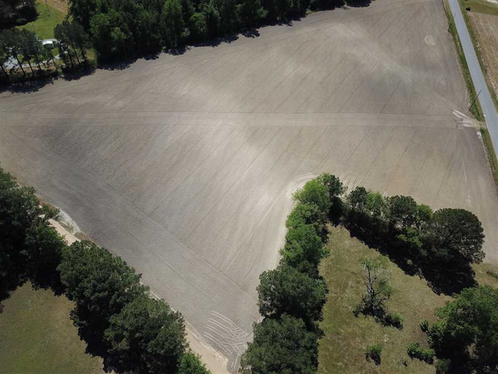 20 ACRES - GREAT OPPORTUNITY FOR HOME SITE AND HUNTING IN RURAL SUFFOLK VIRGINIA! Real estate listing