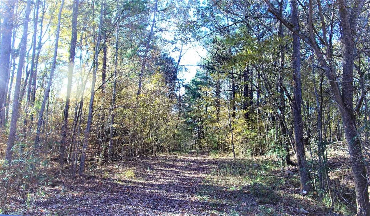 Recreational and   property for sale on The Land Market