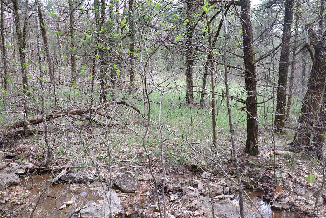 Eureka Springs 10 acres Real estate listing