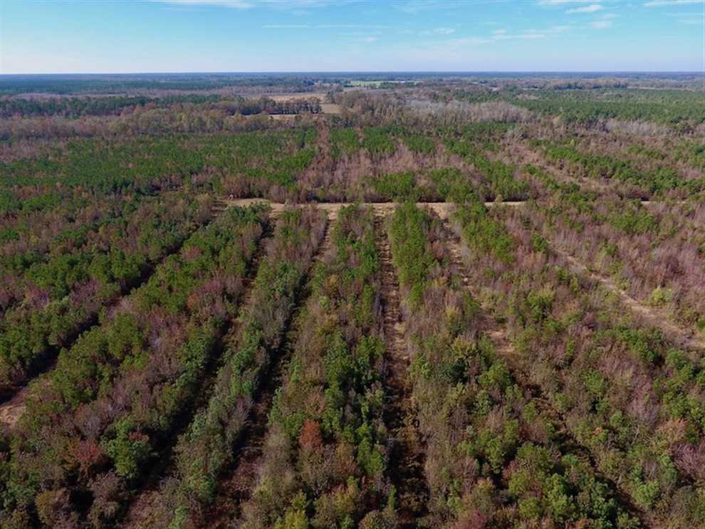 Land for sale at Off Highway 55 NC