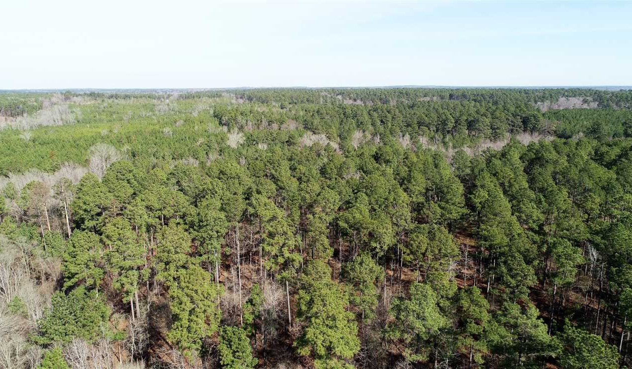 Land for sale at