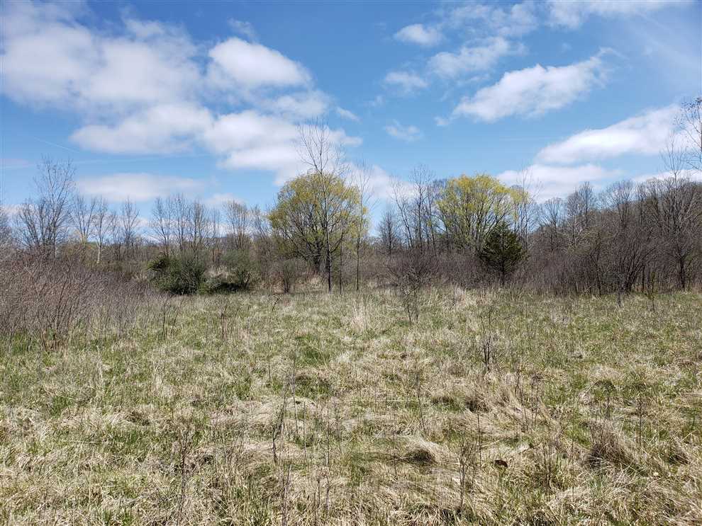 Coloma land available for purchase