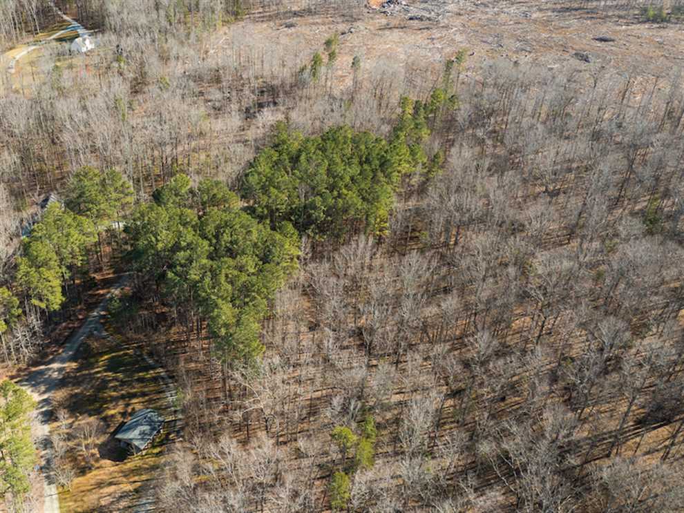 +/- 31.08 acre Lakeview Homesite for Sale in Person County, NC! Real estate listing