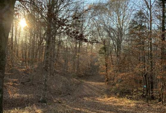 224 Acres of Land for Sale in henry County Tennessee