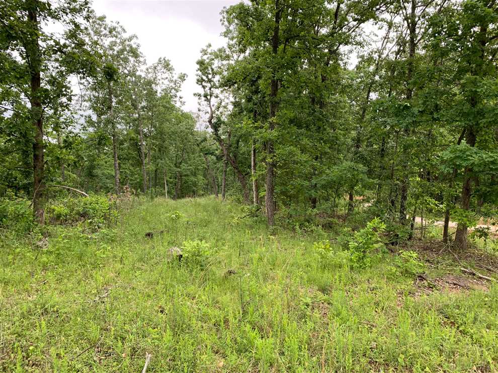 34.56 Ac in Rural Ozarks Real estate listing