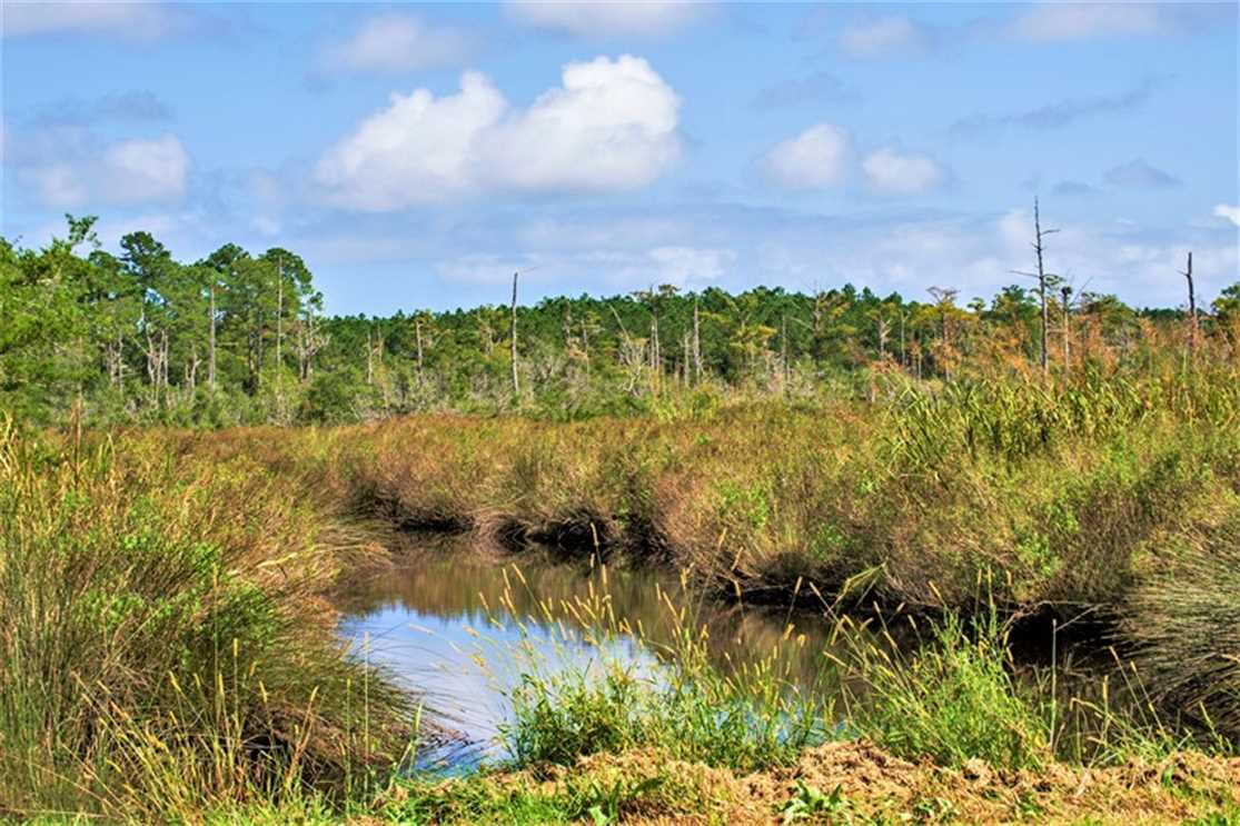 Land for sale at Off Florence Road