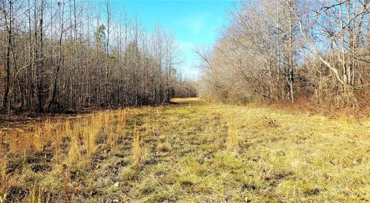 68 Acres of Land for sale in mcnairy County, Tennessee
