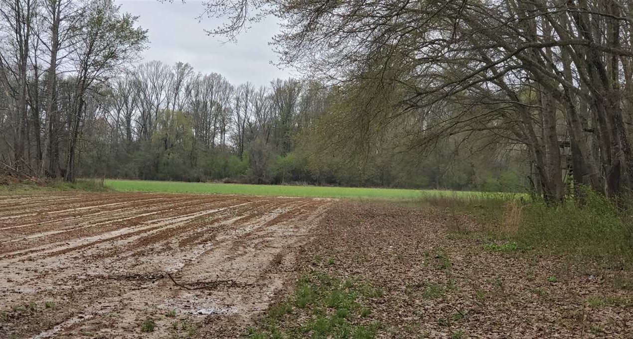 Houses and land for sale in Arkansas