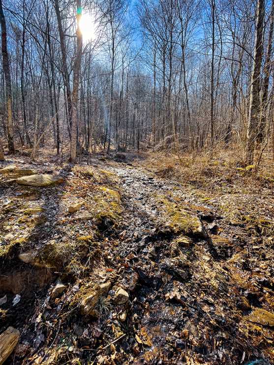 property for sale on The Land Market