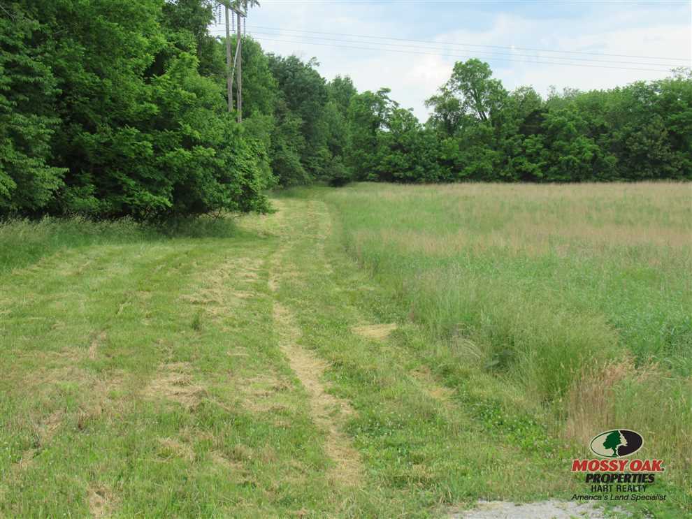 Houses and land for sale in Kentucky