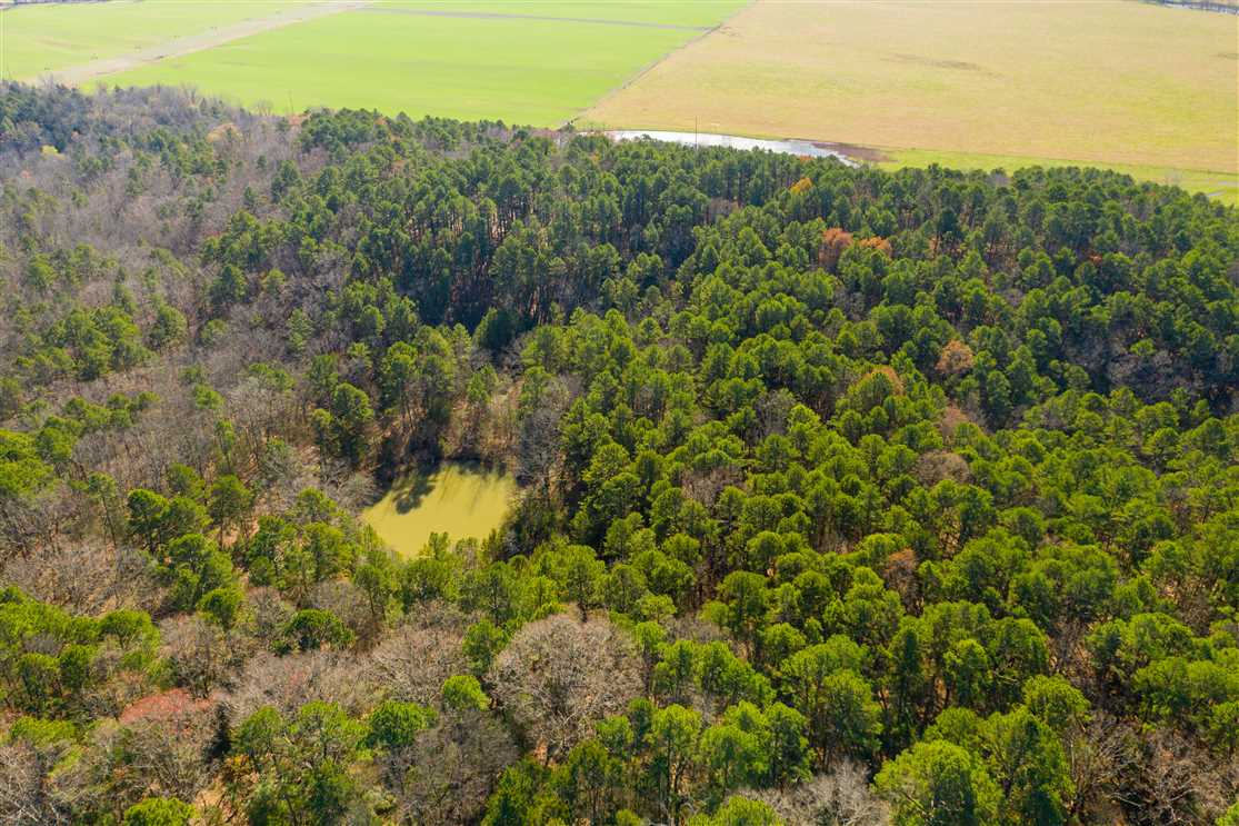 Land for sale to buy in 72501 zip code