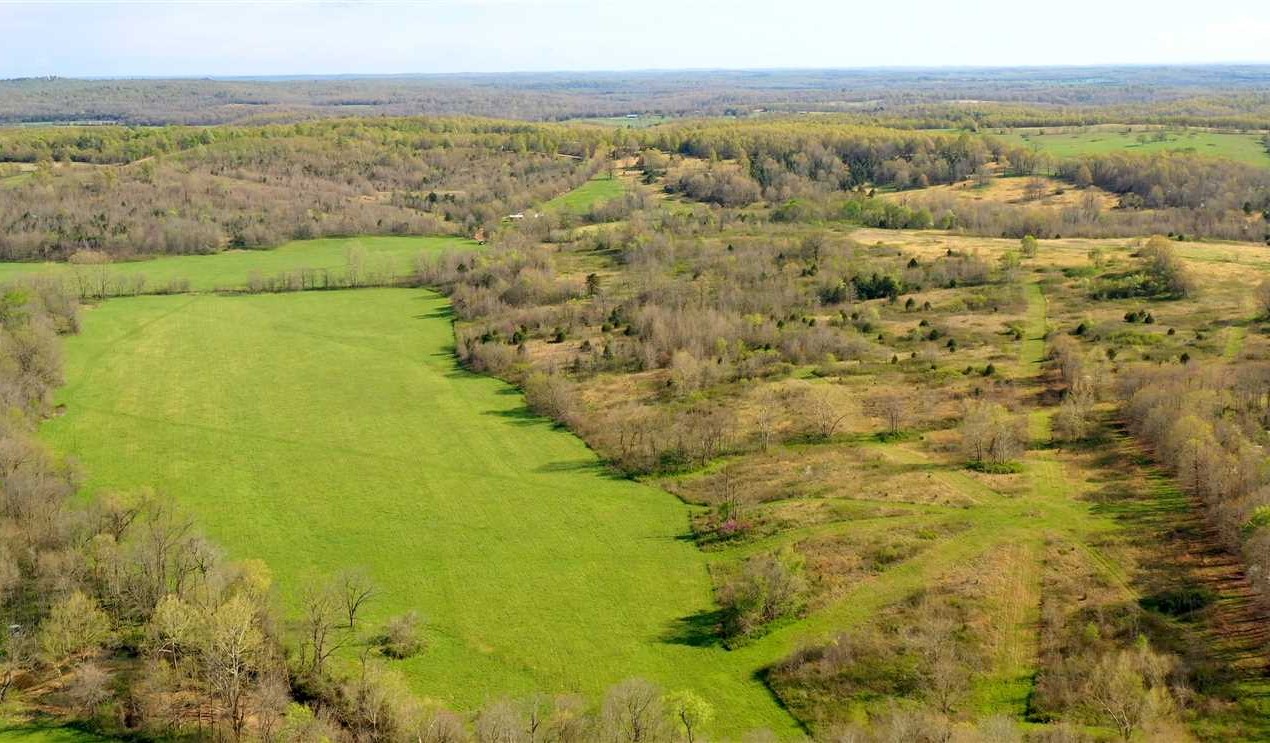 115 +/- Acres, Multiple Home sites with Mature Trees, Hay Fields, Strawberry River, Fulton County, AR Real estate listing