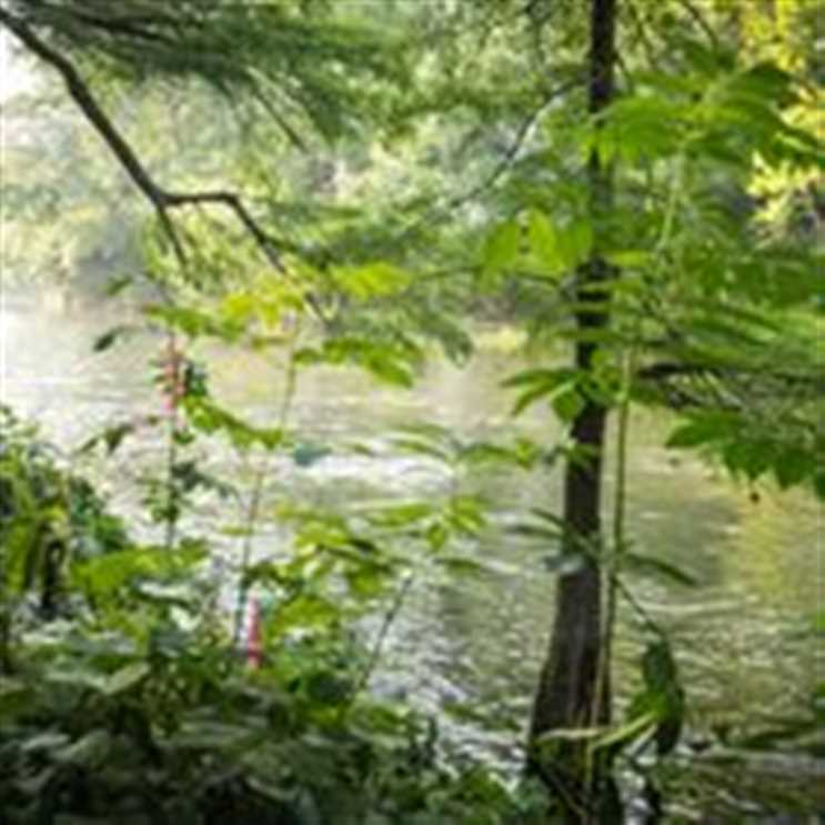 30 Acres of Residential land for sale in Broken Bow, mccurtain County, Oklahoma