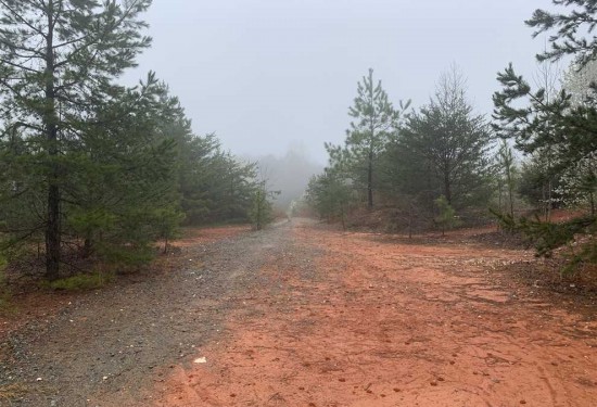 24 Acres of Land for Sale in davidson County North Carolina