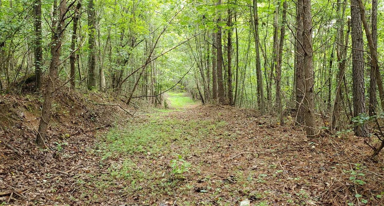 220 Acres of Land for Sale in rutherford County North Carolina