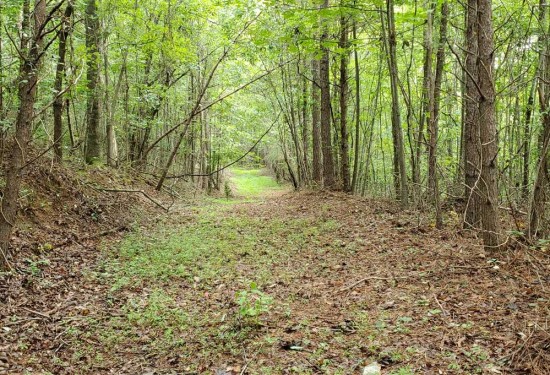 220 Acres of Land for Sale in rutherford County North Carolina