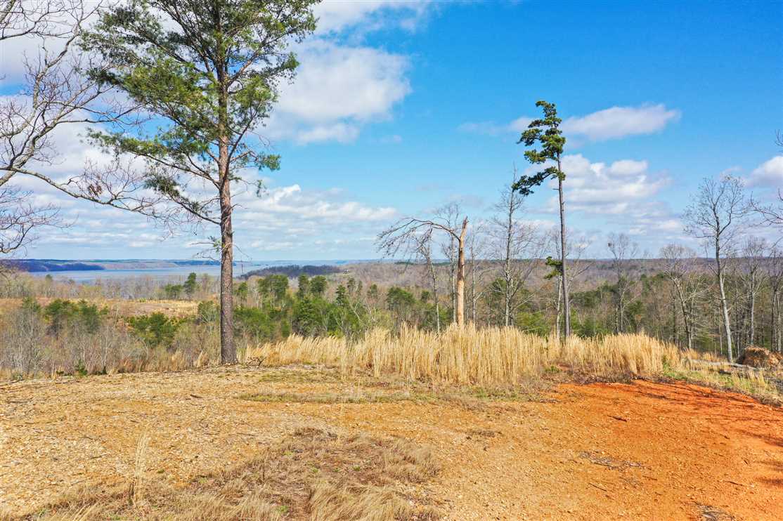 Beautiful 9.82 lot over looking Kentucky Lake in Humphreys County Tennessee! Real estate listing