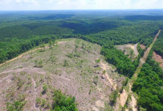 116 Acres of Land for Sale in marion County Alabama